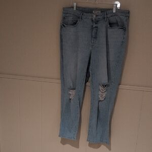 Warp & Weft Blue Distressed Women Jeans
